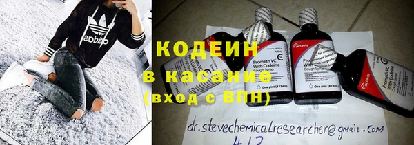шишки Апатиты