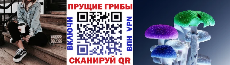 Галлюциногенные грибы Magic Shrooms Грозный