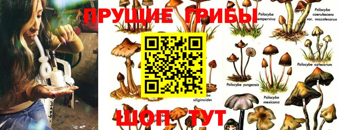 Галлюциногенные грибы MAGIC MUSHROOMS  Вход с VPN  Грозный  Галлюциногенные грибы Magic Shrooms 