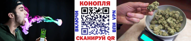 Шишки марихуана марихуана  Грозный 